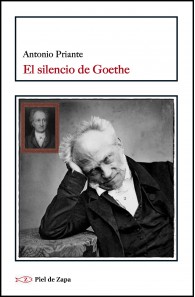 El silencio de Goethe
