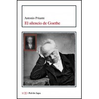 El silencio de Goethe