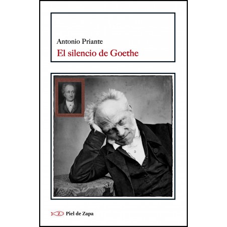 El silencio de Goethe